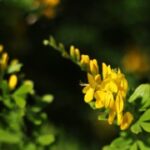 新时代娱乐:从线上直播到线下活动的全景分析 6z4ng