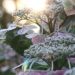 新时代APP在教育领域的创新与发展 joito92i4s