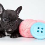 新时代H5页面设计中的用户体验优化策略 p9615isi