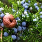 新时代H5在企业内部培训中的有效应用 r2efft9a4