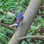 新时代H5在游戏开发中的应用前景探讨 ws9c6