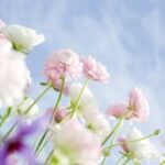 音乐产业在新时代娱乐中的新机遇与挑战 y73iopzsz